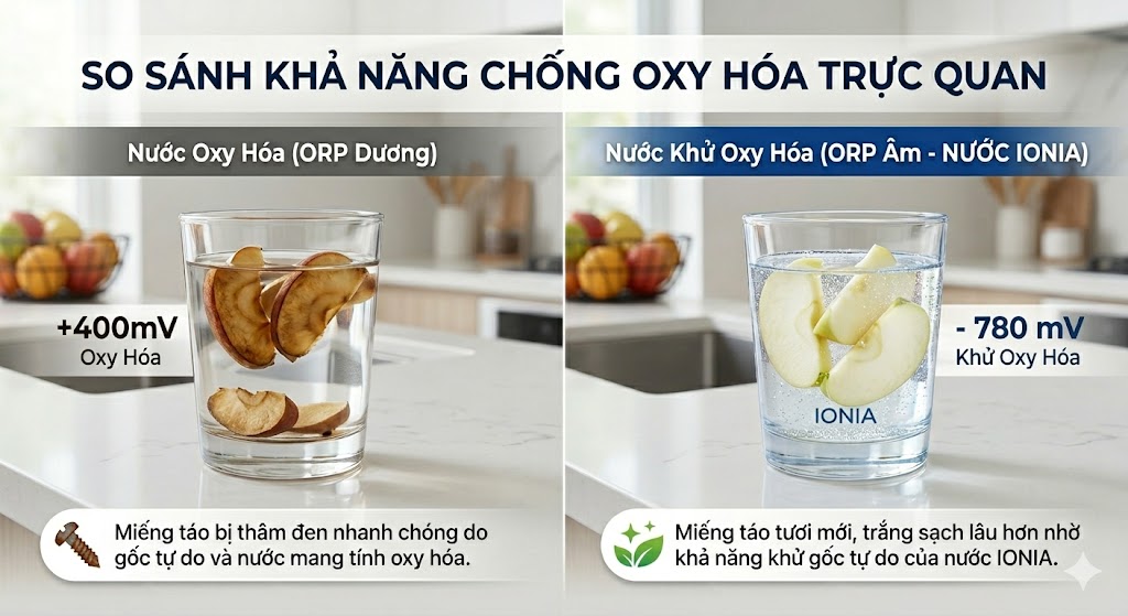 So-sanh-chi-so-chong-oxy-hoa